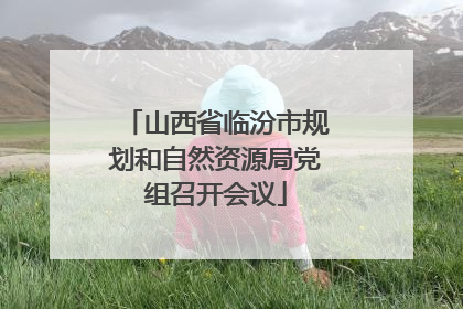 山西省临汾市规划和自然资源局党组召开会议