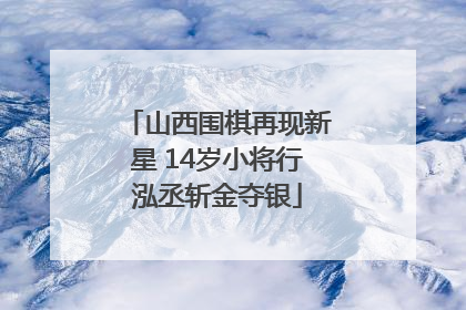山西围棋再现新星 14岁小将行泓丞斩金夺银