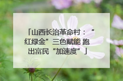 山西长治革命村：“红绿金”三色赋能 跑出富民“加速度”