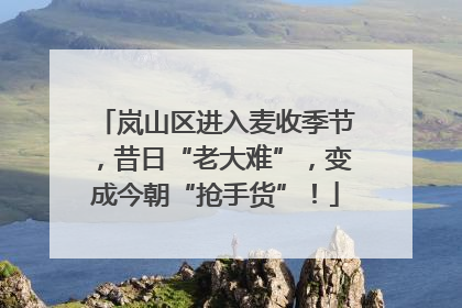 岚山区进入麦收季节，昔日“老大难”，变成今朝“抢手货”！