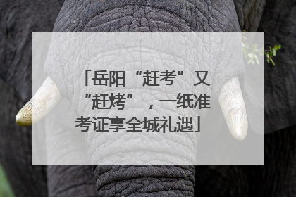 岳阳“赶考”又“赶烤”，一纸准考证享全城礼遇