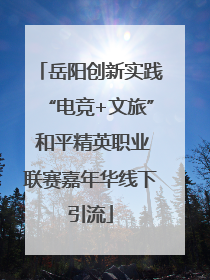 岳阳创新实践“电竞+文旅” 和平精英职业联赛嘉年华线下引流
