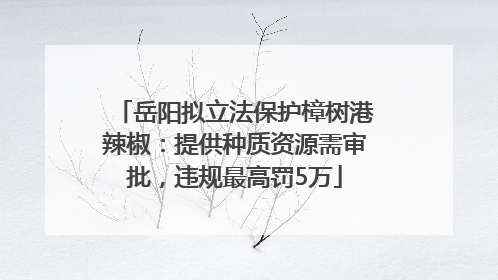 岳阳拟立法保护樟树港辣椒：提供种质资源需审批，违规最高罚5万