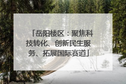 岳阳楼区：聚焦科技转化、创新民生服务、拓展国际赛道