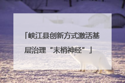 峡江县创新方式激活基层治理“末梢神经”