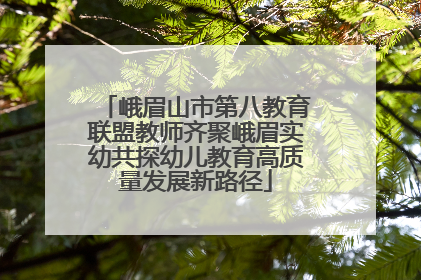 峨眉山市第八教育联盟教师齐聚峨眉实幼共探幼儿教育高质量发展新路径