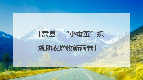 嵩县：“小蚕茧”织就助农增收新画卷