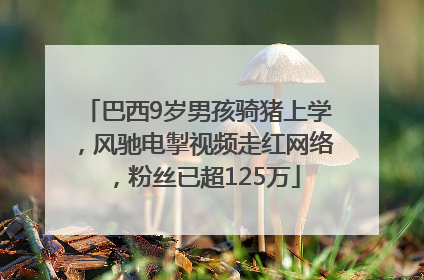 巴西9岁男孩骑猪上学，风驰电掣视频走红网络，粉丝已超125万