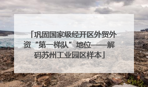 巩固国家级经开区外贸外资“第一梯队”地位——解码苏州工业园区样本