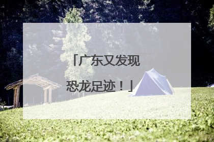 广东又发现恐龙足迹！