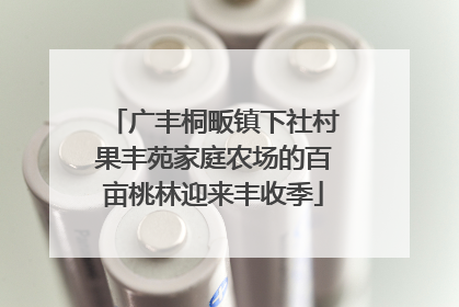 广丰桐畈镇下社村果丰苑家庭农场的百亩桃林迎来丰收季