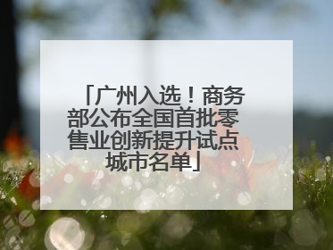 广州入选！商务部公布全国首批零售业创新提升试点城市名单