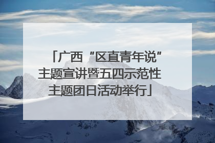 广西“区直青年说”主题宣讲暨五四示范性主题团日活动举行