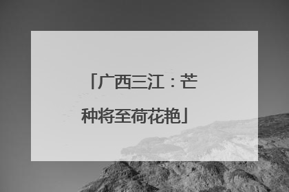广西三江：芒种将至荷花艳