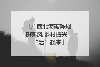 广西北海破陈规树新风 乡村振兴“活”起来