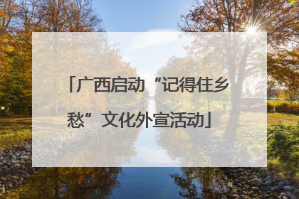 广西启动“记得住乡愁”文化外宣活动
