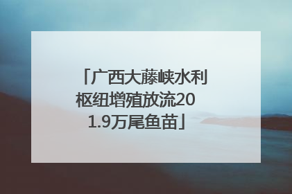 广西大藤峡水利枢纽增殖放流201.9万尾鱼苗