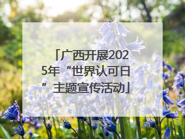广西开展2025年“世界认可日”主题宣传活动
