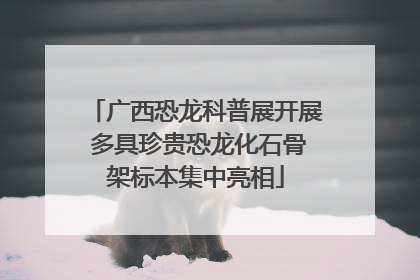 广西恐龙科普展开展 多具珍贵恐龙化石骨架标本集中亮相