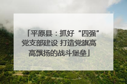平原县：抓好“四强”党支部建设 打造党旗高高飘扬的战斗堡垒