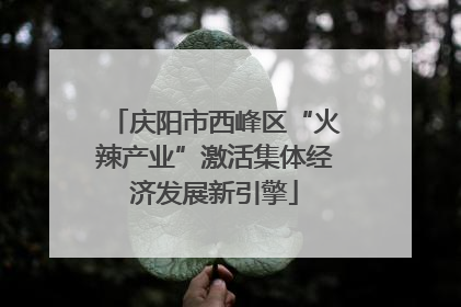 庆阳市西峰区“火辣产业”激活集体经济发展新引擎