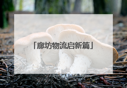 廊坊物流启新篇