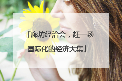 廊坊经洽会,赶一场国际化的经济大集