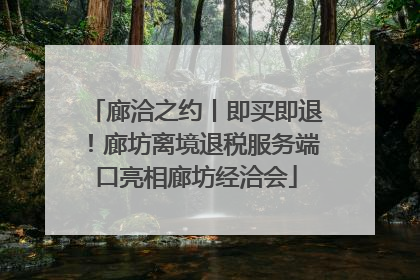 廊洽之约丨即买即退！廊坊离境退税服务端口亮相廊坊经洽会