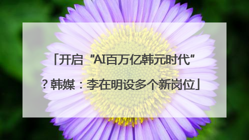 开启“AI百万亿韩元时代”？韩媒：李在明设多个新岗位