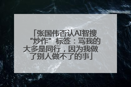 张国伟否认AI智搜“炒作”标签：骂我的大多是同行，因为我做了别人做不了的事