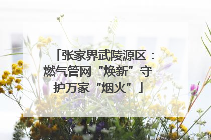 张家界武陵源区：燃气管网“焕新”守护万家“烟火”
