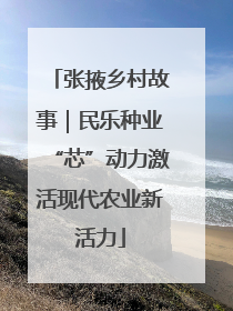 张掖乡村故事｜民乐种业“芯”动力激活现代农业新活力