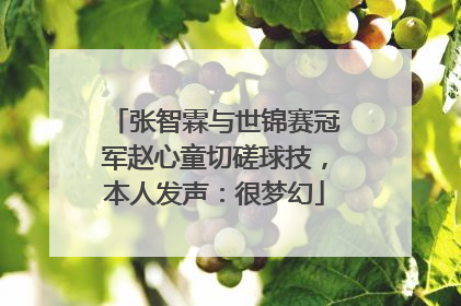 张智霖与世锦赛冠军赵心童切磋球技，本人发声：很梦幻