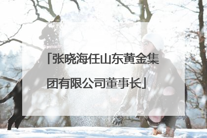 张晓海任山东黄金集团有限公司董事长