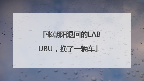 张朝阳退回的LABUBU，换了一辆车