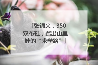 张锦文：350双布鞋，踏出山里娃的“求学路”