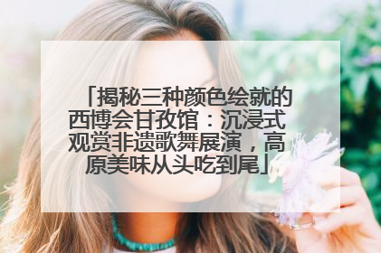 揭秘三种颜色绘就的西博会甘孜馆：沉浸式观赏非遗歌舞展演，高原美味从头吃到尾