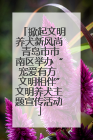 掀起文明养犬新风尚 青岛市市南区举办“宠爱有方 文明相伴”文明养犬主题宣传活动