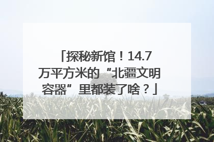 探秘新馆！14.7万平方米的“北疆文明容器”里都装了啥？