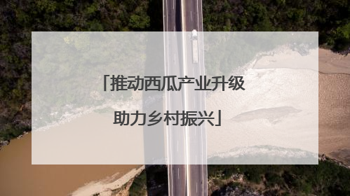 推动西瓜产业升级 助力乡村振兴