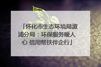 怀化市生态环境局溆浦分局：环保服务暖人心 信用帮扶伴企行