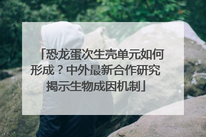 恐龙蛋次生壳单元如何形成？中外最新合作研究揭示生物成因机制
