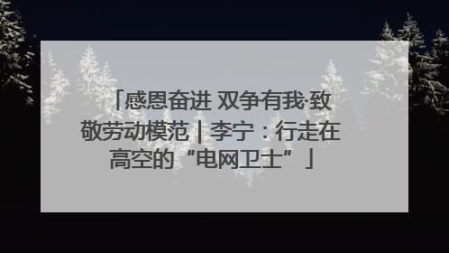 感恩奋进 双争有我·致敬劳动模范｜李宁：行走在高空的“电网卫士”