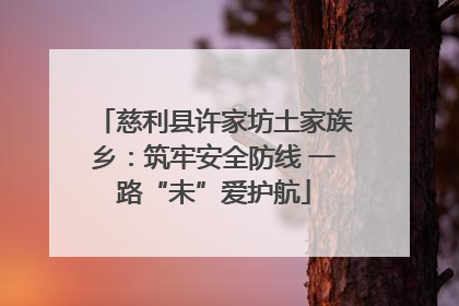 慈利县许家坊土家族乡：筑牢安全防线 一路“未”爱护航