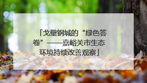 戈壁钢城的“绿色答卷”——嘉峪关市生态环境持续改善观察