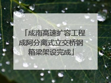 成南高速扩容工程成阿分离式立交桥钢箱梁架设完成