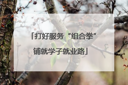 打好服务“组合拳” 铺就学子就业路