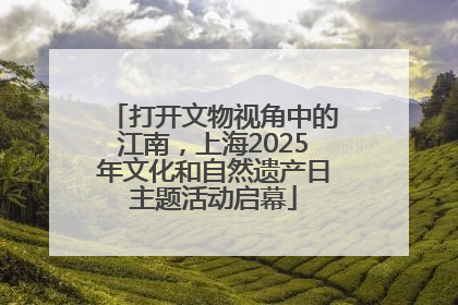 打开文物视角中的江南，上海2025年文化和自然遗产日主题活动启幕