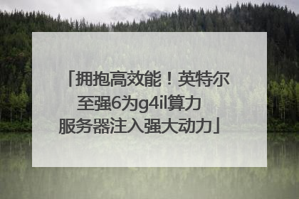 拥抱高效能！英特尔至强6为g4il算力服务器注入强大动力