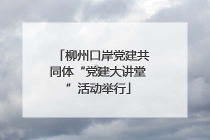 柳州口岸党建共同体“党建大讲堂”活动举行